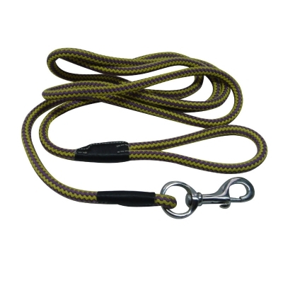 Cattle Lead 